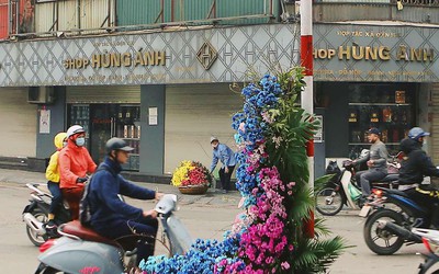 Cư dân mạng thích thú khi hàng loạt cột đèn ở Hà Nội "nở hoa"