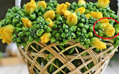 Loại rau quen thuộc của người Việt, giúp giảm đau đầu "nhanh gấp tỷ lần" thuốc