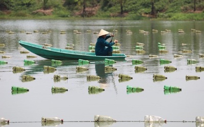 Liều mình nuôi con "nằm lì dưới ao", anh nông dân thu hàng trăm triệu