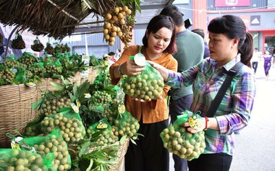 Việt Nam thu hơn 14 triệu USD từ xuất khẩu nhãn