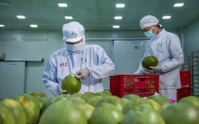Xuất khẩu rau quả: Tín hiệu tích cực ngay từ đầu năm 2024
