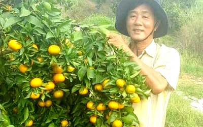 Anh nông dân "làm chơi ăn thật" nào ngờ nhẹ nhàng đút túi 20 tỷ đồng