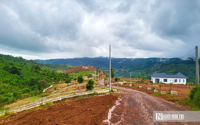 Ngang nhiên xẻ núi, băm đồi phân lô bán nền ở Lâm Đồng - Bài 1: Những quả đồi bị san phẳng