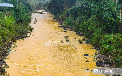 Lâm Đồng: Chỉ đạo kiểm tra nguồn nước suối Đại Bình bị ô nhiễm