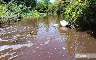 UBND tỉnh Lâm Đồng chỉ đạo kiểm tra nguồn nước suối Đạ Gùi bị ô nhiễm