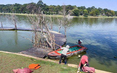 Công nhân môi trường nỗ lực thu gom cá chết trên hồ Xuân Hương