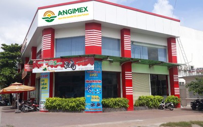 Sau cơn sốt giá gạo, Angimex lại kinh doanh không có lãi