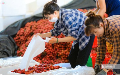 Nông nghiệp cần làm gì sau "giấc mơ xưa nay chưa từng có"?