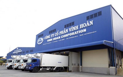 Loay hoay đầu tư chứng khoán, "nữ hoàng cá tra" Vĩnh Hoàn lỗ vì DXS