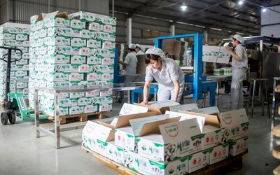 Lợi nhuận quý I/2024 của Mộc Châu Milk sụt giảm