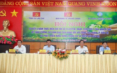 Để tài nguyên rừng trở thành động lực phát triển kinh tế quan trọng