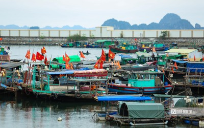Bộ trưởng Lê Minh Hoan thừa nhận có hiện tượng tàu cá không về cập cảng