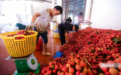 Nguồn cung dồi dào, xuất khẩu nông sản khởi sắc trong tháng 5