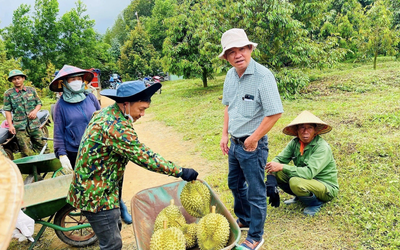 Vừa thay bộ nhận diện, loạt chỉ số của HAGL sụt giảm sau kiểm toán