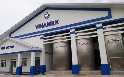 Vinamilk thông báo trả cổ tức trước thềm ĐHĐCĐ