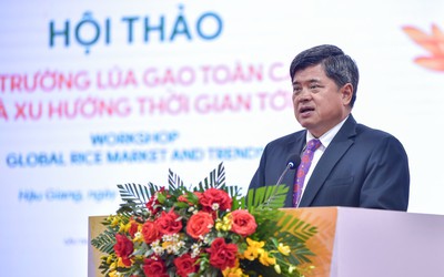 Thay vì sản lượng, doanh nghiệp lúa gạo cần đầu tư mạnh vào chất lượng