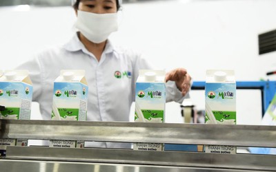 Nhờ đâu Mộc Châu Milk báo lãi kỷ lục?