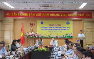 Dịch cúm gia cầm: Chưa có vắc-xin phòng, tỉ lệ tử vong cao