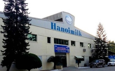 Hanoimilk: Tiền tăng gấp đôi vẫn không đạt nổi 10 tỷ đồng