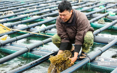 Khai thác thủy sản phù hợp với tiềm năng nguồn lợi, bảo vệ môi trường