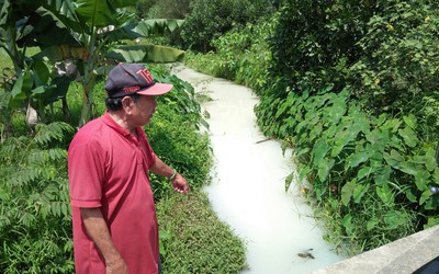 Đà Nẵng: Mương nước đổi màu màu bất thường, bốc mùi hôi thối