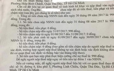 TP.HCM: Một người bị cưỡng chế nợ thuế... 990 đồng