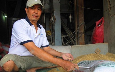 Vụ nhặt được vàng trong bao lúa ở Bình Định: Bí ẩn chủ nhân thực sự