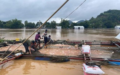 Đồng Nai: Cá bè chết hàng loạt sau cơn mưa lớn