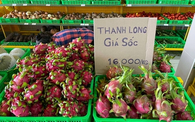 Rớt giá vì dịch Covid-19, nông sản miền Tây xếp hàng chờ "giải pháp tháo gỡ"