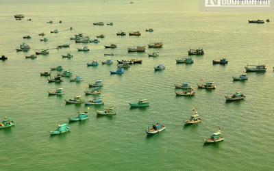 Kiên Giang: Chủ tịch UBND tỉnh tự kiểm điểm vì để tàu cá vi phạm IUU