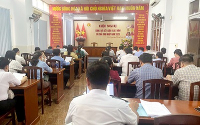 Kiên Giang: Có 6 cá nhân được xác minh tài sản kê khai chưa đủ thông tin