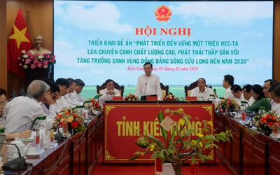 Phát triển 1 triệu ha lúa chuyên canh chất lượng cao tại ĐBSCL