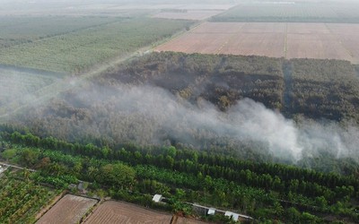 Cà Mau: Hoàn toàn khống chế vụ cháy 40ha rừng tràm