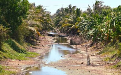 Cà Mau: Công bố hạn hán khẩn cấp