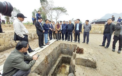 Phó Chủ tịch hội đồng Di sản quốc gia nói gì về bãi cọc nghìn năm phát lộ ở Hải Phòng?