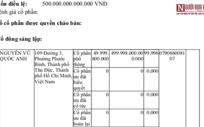 CEO “siêu DN” 500.000 tỷ đồng: Không nộp đủ tiền thì chịu phạt thôi!