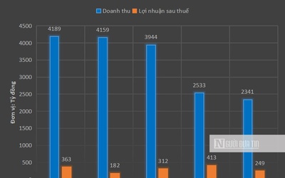 Những yếu tố khiến lợi nhuận 6 tháng đầu năm của Vinaconex giảm mạnh