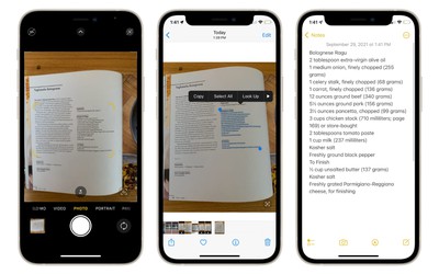 Cách sao chép và cắt dán nội dung văn bản trong ảnh trên iPhone