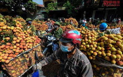 Nhận diện thách thức “níu chân” nông nghiệp Việt trên con đường chuyển đổi số