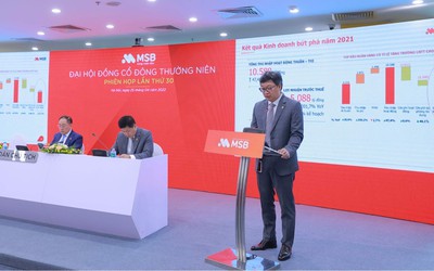 ĐHĐCĐ MSB: Dự lãi 6.800 tỷ, thoái vốn tại công ty tài chính FCCOM