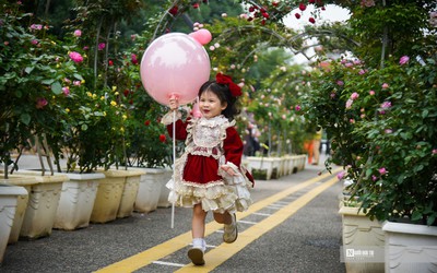 Mê Linh tất bật chuẩn bị cho Festival hoa đầu tiên