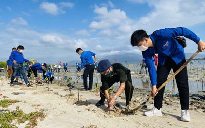 Khánh Hòa: Hàng ngàn cây xanh được trồng trong mùa xuân mới