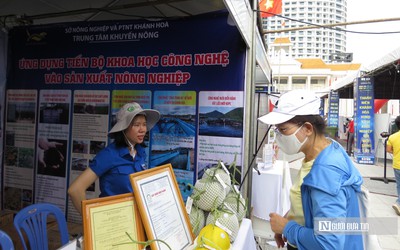 Khai mạc chương trình Techfest vùng Nam Trung Bộ và Tây Nguyên 2022