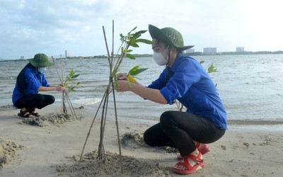 Khánh Hòa đặt mục tiêu phục hồi ít nhất 20% diện tích hệ sinh thái tự nhiên bị suy thoái