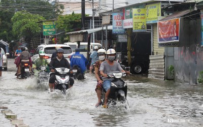 Khánh Hòa triển khai ứng phó với mưa lớn diện rộng, gió mạnh trên biển