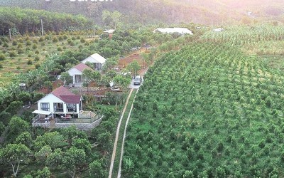Đồng Nai: Dự án nghỉ dưỡng Vime Garden xây dựng trên đất nông nghiệp
