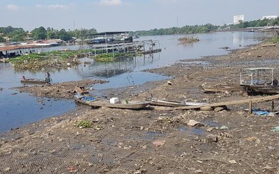 Sông Cái ở Đồng Nai trước nguy cơ thành... "dòng sông chết"