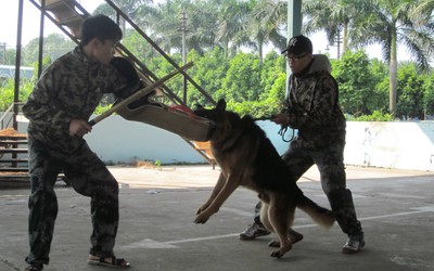 Huấn luyện viên của “lò” đào tạo “tên lửa có răng”