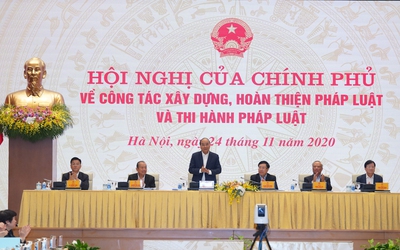 Có hiện tượng vi phạm pháp luật một cách rất "hồn nhiên"