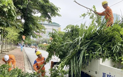 Công ty Điện lực Hà Tĩnh tăng cường bảo vệ hành lang an toàn lưới điện